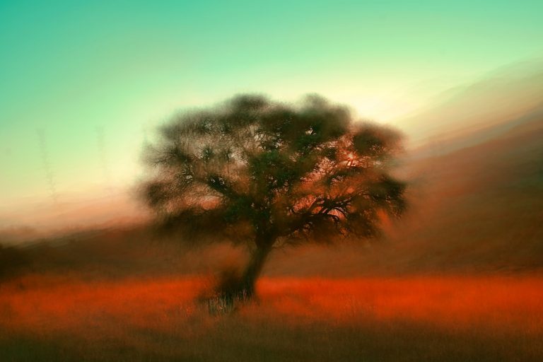 The Art of Capturing Serenity: A Photographer’s Guide