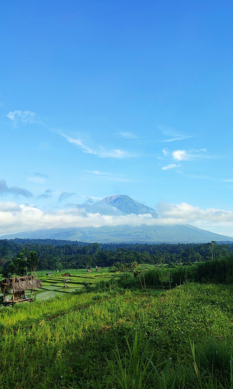 Body Scanning for Photographers: A Unique Approach